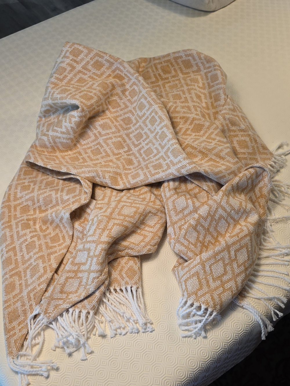 Linea Casa Beige & White Geometric Fringe Throw Blanket 52x70